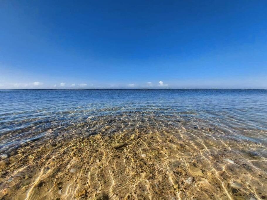 Luxury Beachfront Escape - Lasolas Daire Juan Dolio Dış mekan fotoğraf